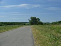 Дорога на деревню Савинова от Нижнее Бессоново